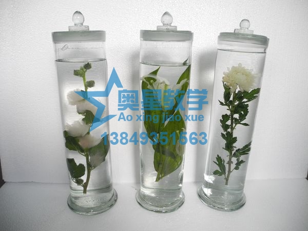 植物學標本廠家：處理植物標本的注意事項