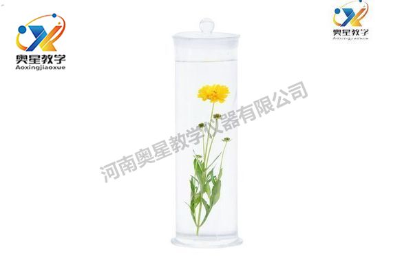 標(biāo)本