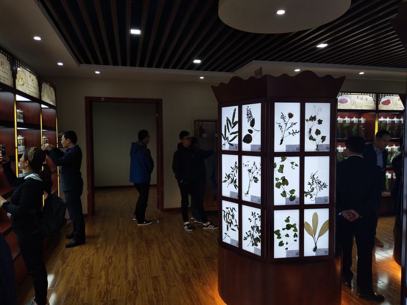 標本館對外交流