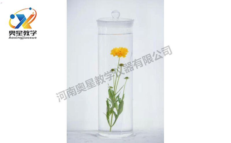 浸漬標(biāo)本