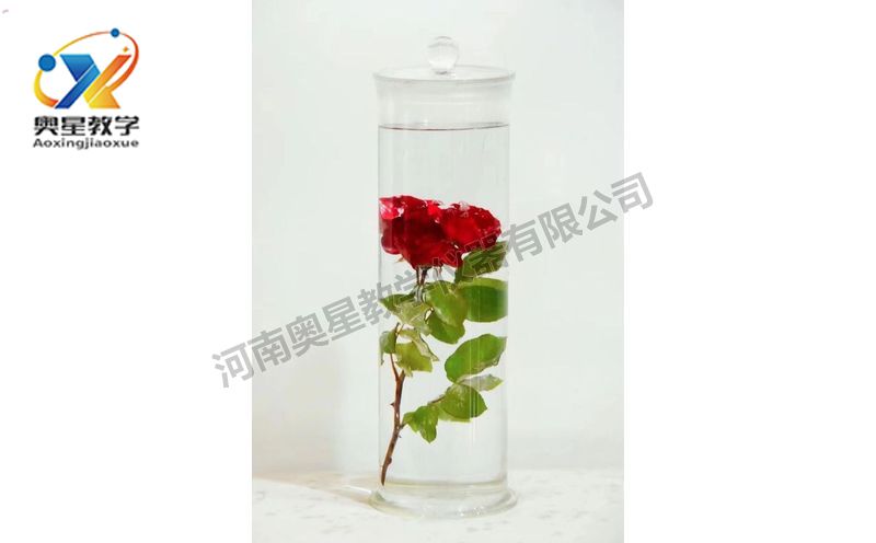 浸漬標(biāo)本