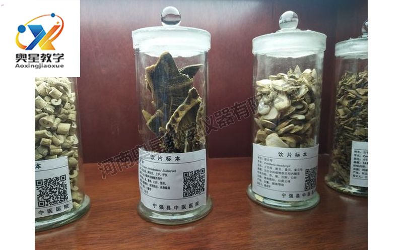 飲片標(biāo)本
