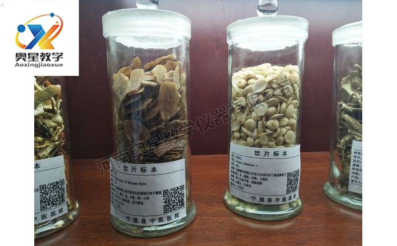 飲片標(biāo)本