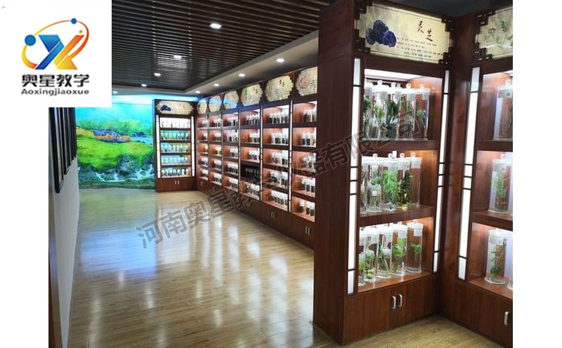 中藥標(biāo)本館效果圖