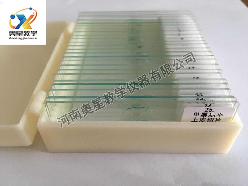 顯微鏡配套