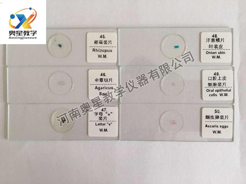 顯微鏡配套
