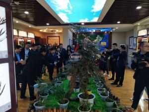 標本館對外交流