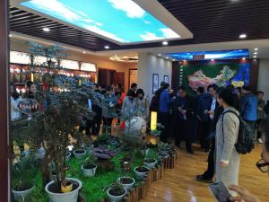 標本館對外交流